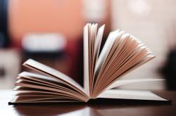 莎拉波娃新星绝杀表现惊艳，日本队未来可期！的简单介绍